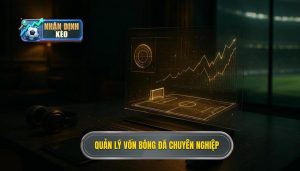 Quản lý vốn bóng đá chuyên nghiệp