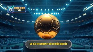 Soi Kèo Tottenham Hôm Nay: Dự Đoán Tỉ Số & Phân Tích Chuyên Sâu