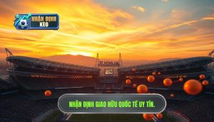 Nhận định giao hữu quốc tế